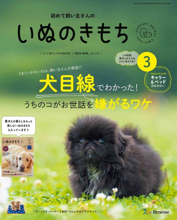 いぬのきもち杂志《いぬのきもち 2023年 03月号》高清全本下载